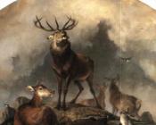 埃德温 亨利 兰德希尔爵士 : Scene in Braemar, Highland Deer